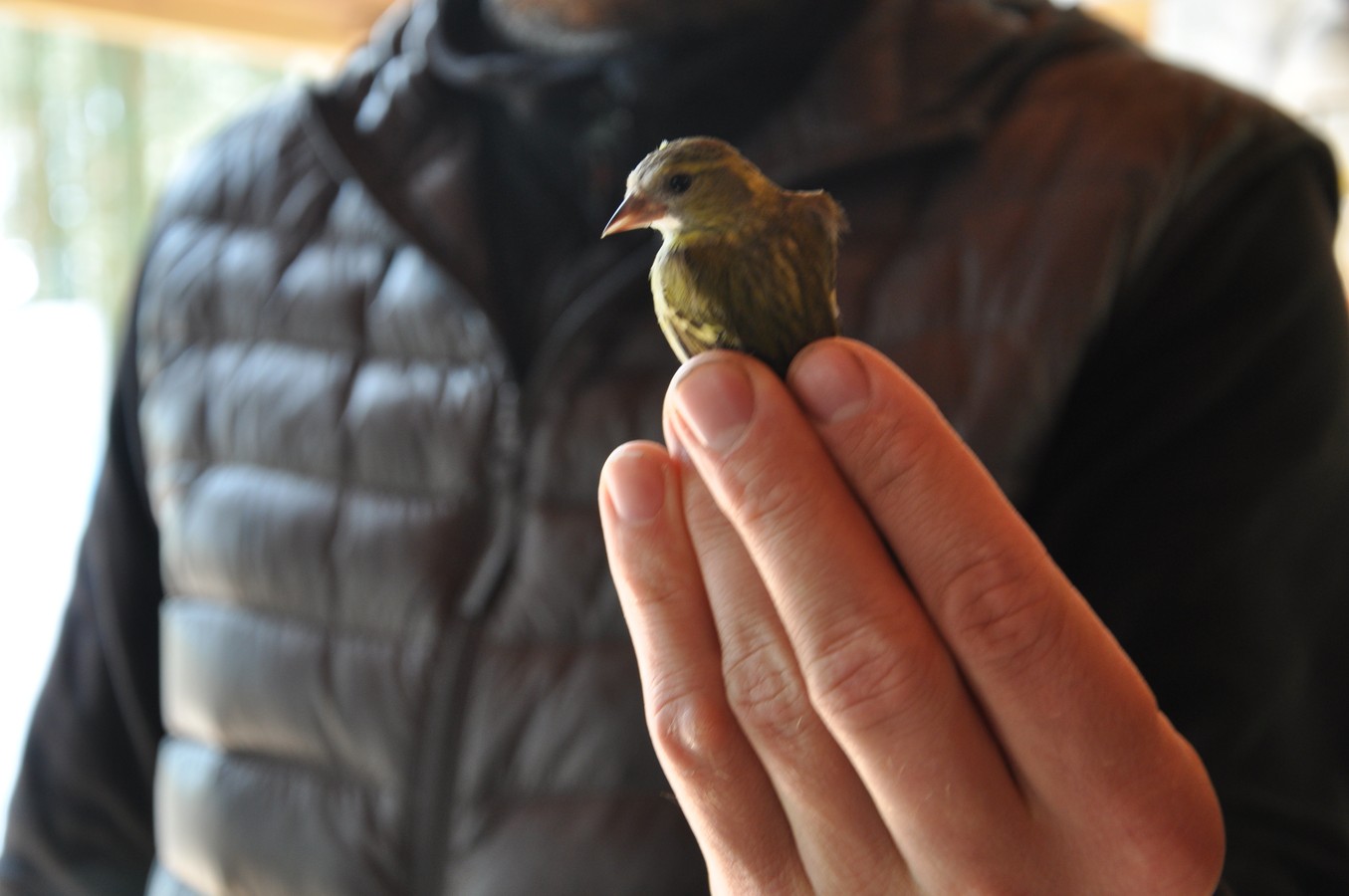 Уникальные ландшафты Куршской косы