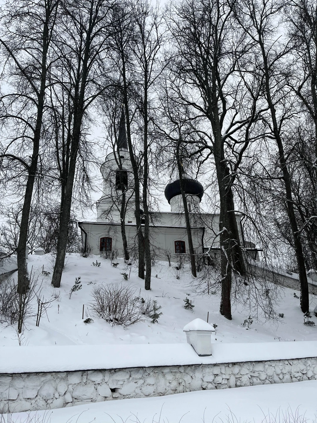В Пушкинские Горы - в небольшой группе (Андрей)