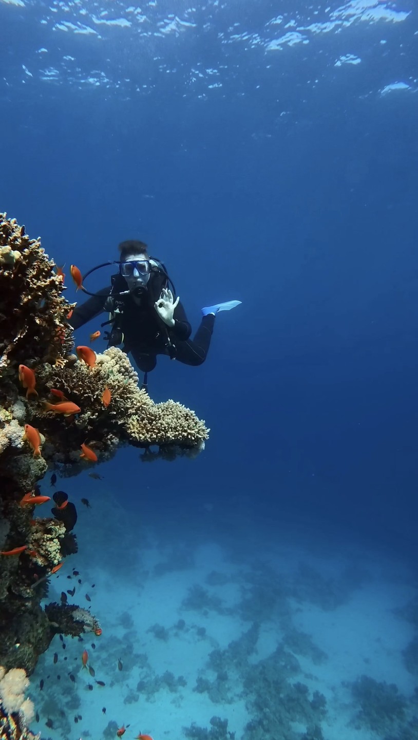 Дайвинг на одном из лучших пляжей Шарм-эль-Шейха (Екатерина)