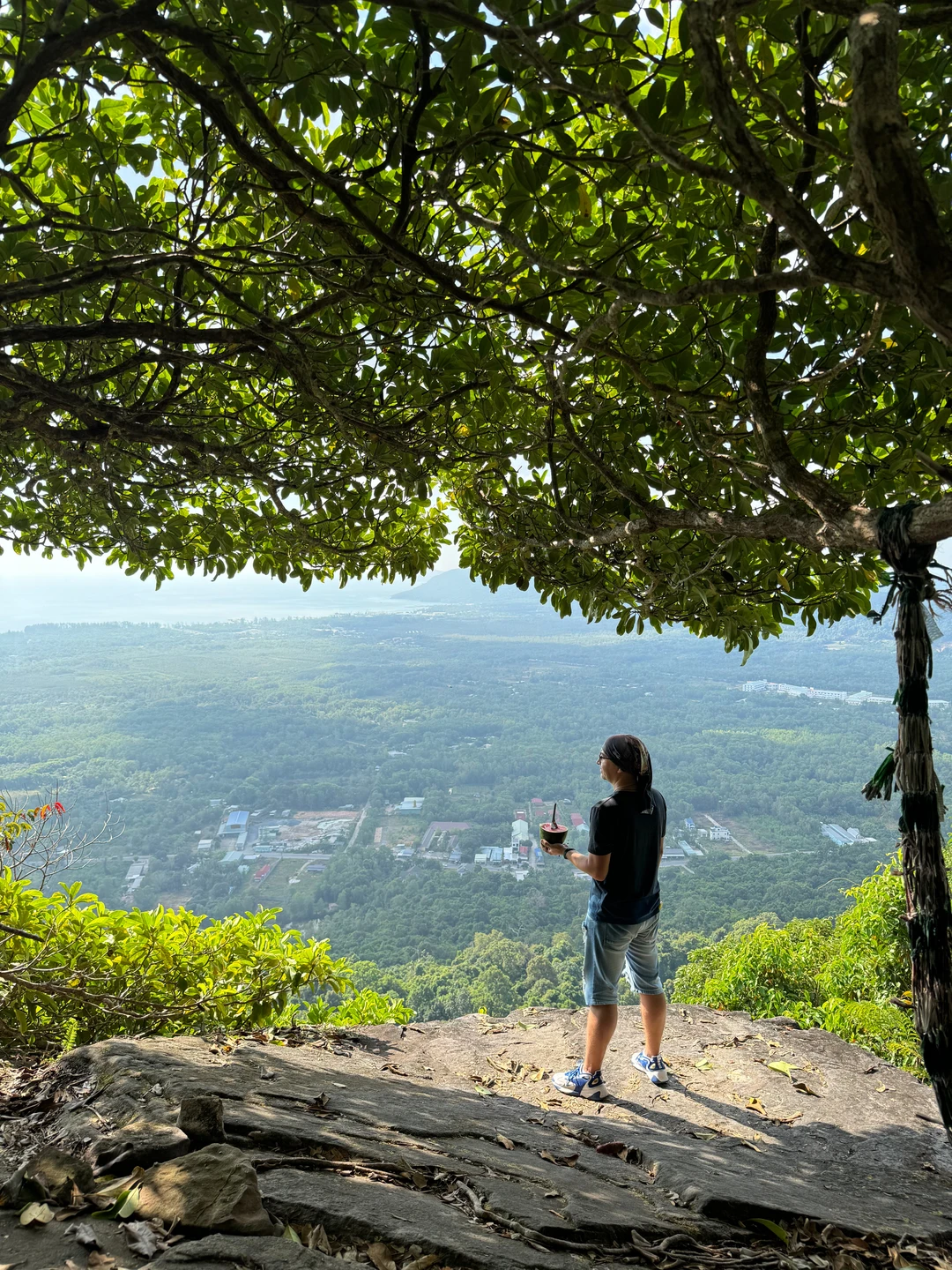 Восхождение нам очень понравилось! По дороге открывает жизнь настоящих джунглей, лианы опутывают паутиной валуны. Подъем оказался