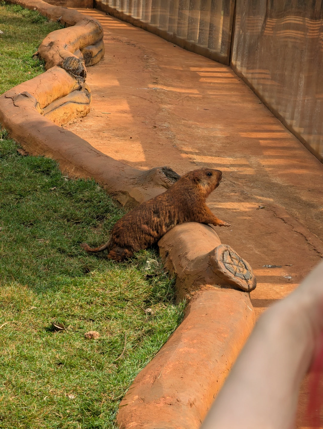 Ну поездка была не образовательная. Водитель, которые ехал с нами, хорошо говорил по русски, но это