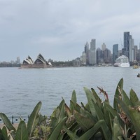 Фото отзыва 3: экскурсия "Лучшее в Сиднее: большое знакомство с центром и пригородами"