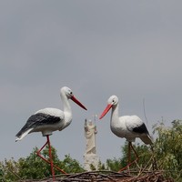 reviews img