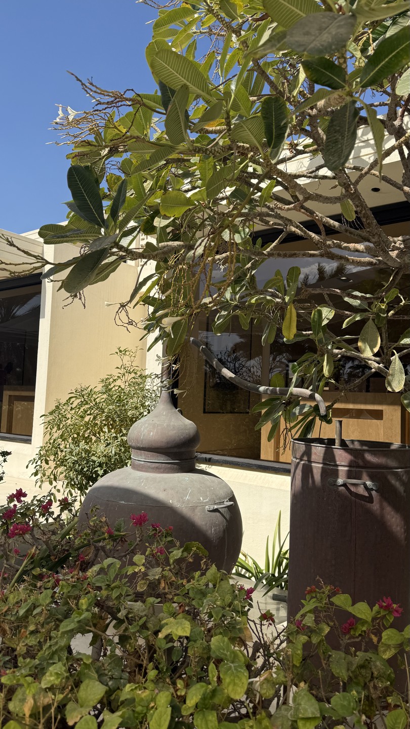 Интересная экскурсия по городу, очень комфортно, приятно и познавательно провели время. Спасибо большое!