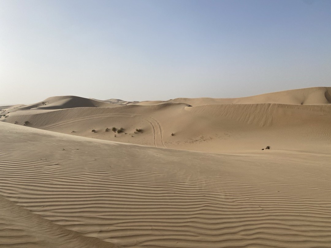 Сегодня была экскурсия - джип сафари