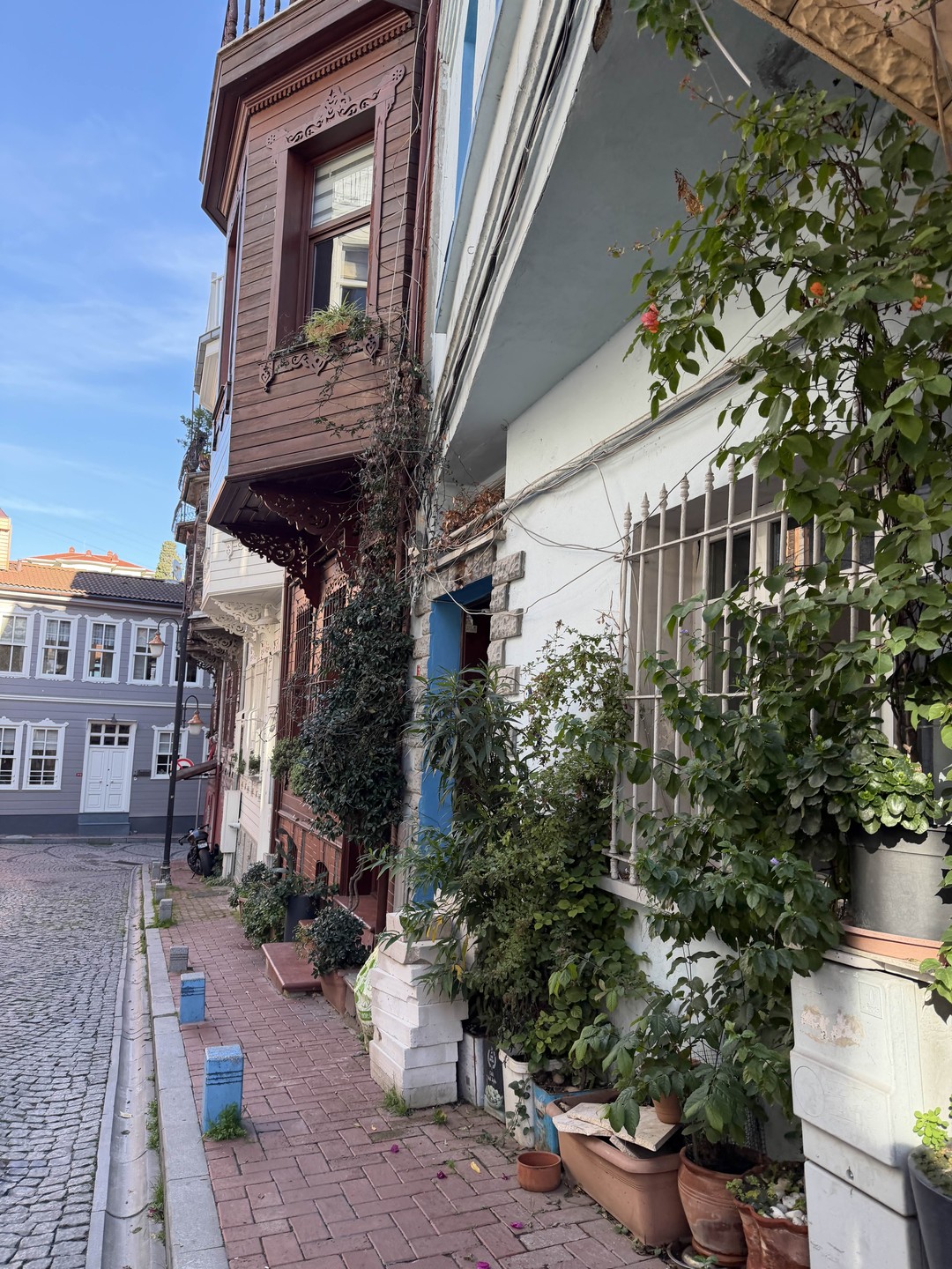 Хорошая экскурсия для небольшой группы, проходит в форме легкой прогулки. Ясмин провела по интересным нетуристическим местам