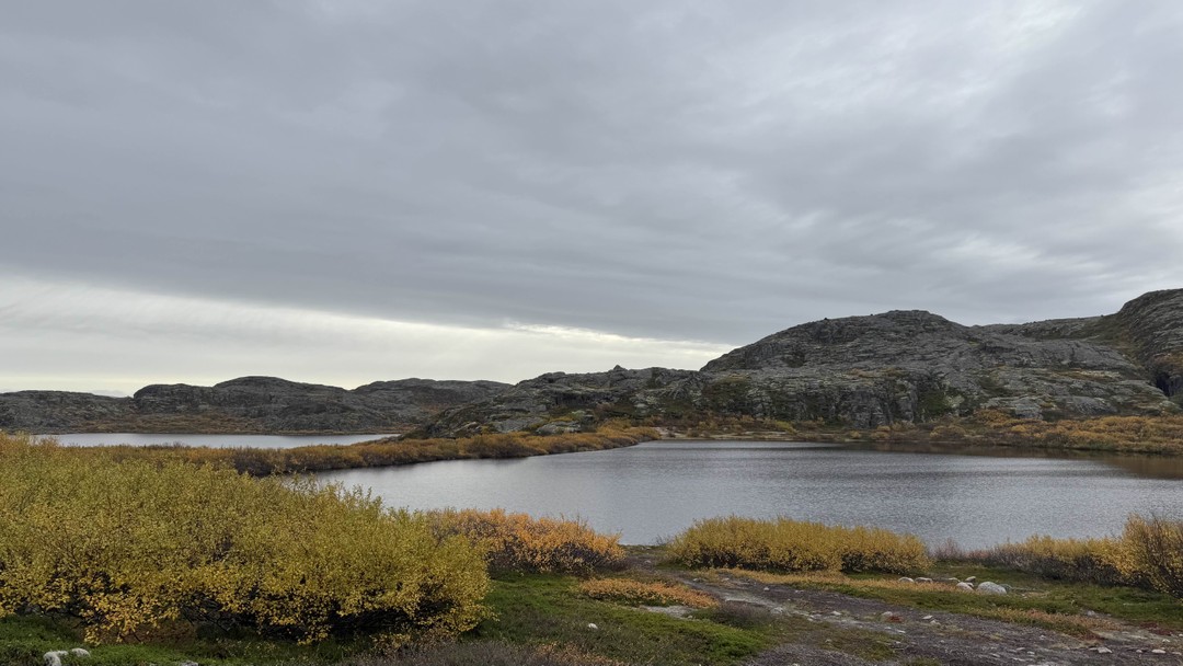 Очень понравился тур. Гиды очень интересно рассказывают и показывают самые красивые места, учитывают состояние участников во