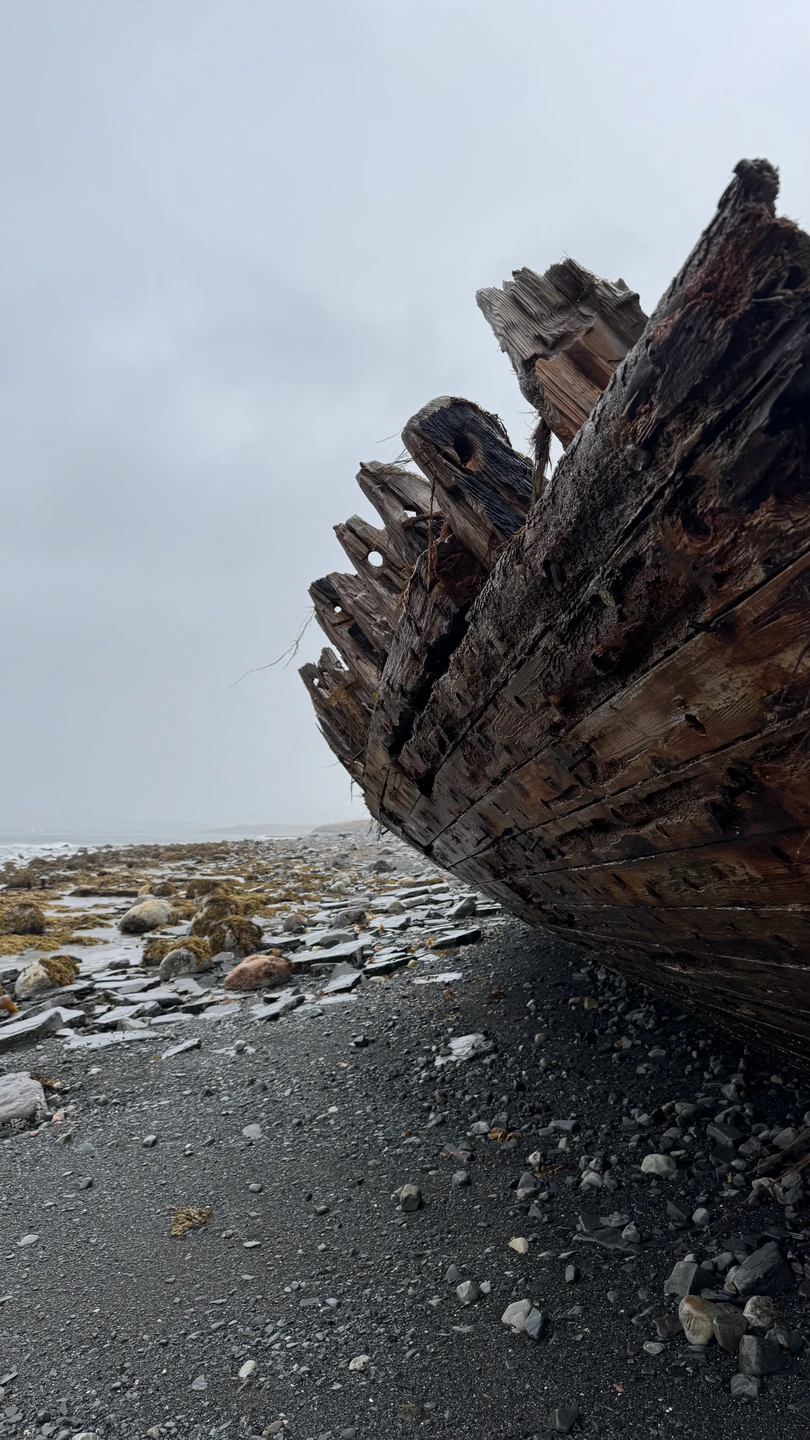 Тур превзошел все ожидания, даже дождливая погода не испортила впечатления, а наоборот, добавила свой северный шарм.