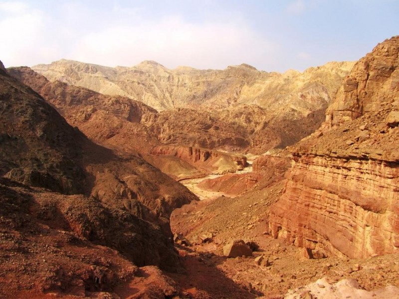 Эйлатское сафари
