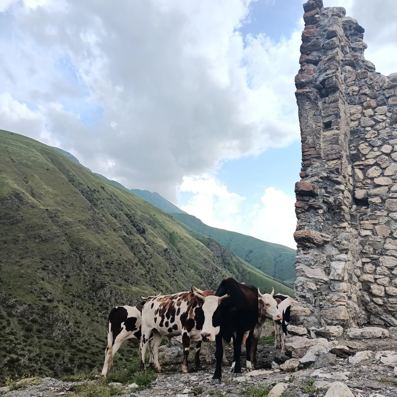 Ездили с гидом Михаилом Александровичем, нам понравилось всё. Это была наша первая экскурсия по Кавказу, он