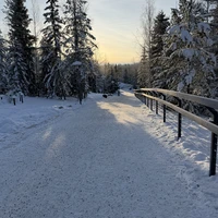 Фото отзыва 3: экскурсия "В гости к марморикам — из Сортавалы (на вашем авто)"