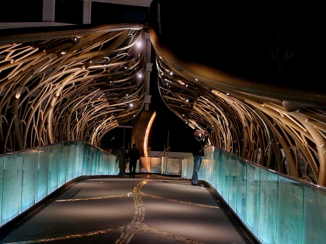 Большое спасибо Роману за интересный рассказ и красивые виды вечернего Сочи. Несмотря на то, что мы