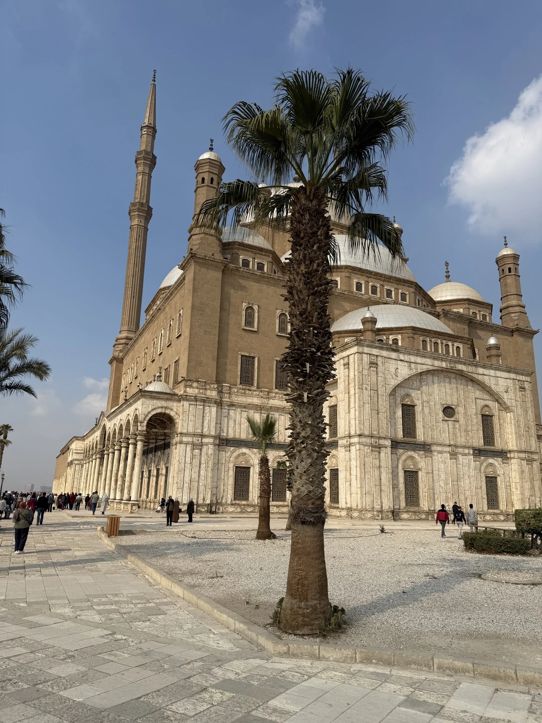 Очень рады, что выбрали Муххамеда, прекрасная организация и подача материала. У нас была большая компания 10