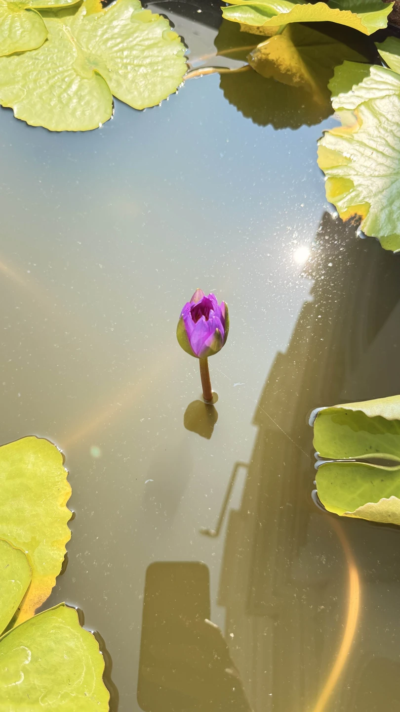 Экскурсия - восторг 💙