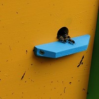reviews img