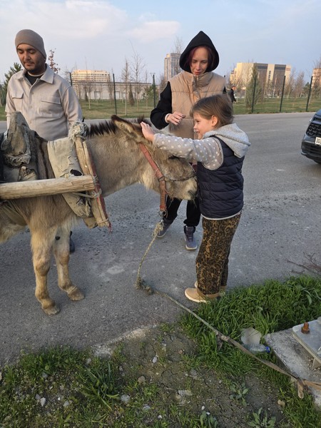 Это просто супер экскурсия. Шохрух великолепный гид. Очень много интересного рассказал, показал красивейшие места. 10 часов