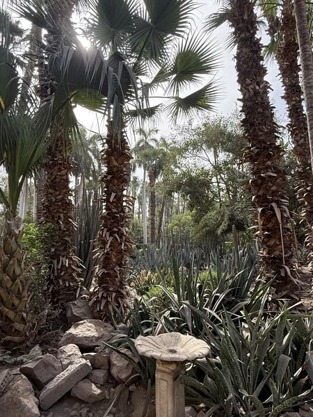 Спасибо большое Ибрагиму за отлично проведенную экскурсию, внимание к тому, что нам было интересно, очень хороший