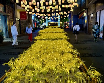 Возвращение в Гуанчжоу