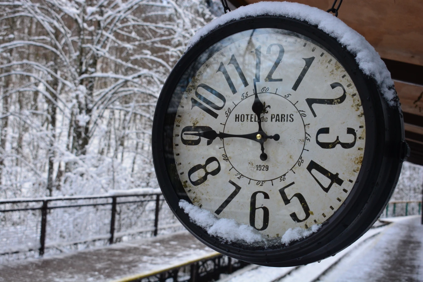 Из Майкопа — в Гуамское ущелье