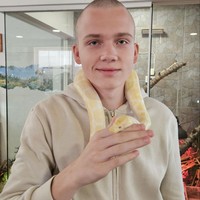 Фото отзыва 1: экскурсия "Тайны западного Крита: от загадочных пещер до венецианских улочек"