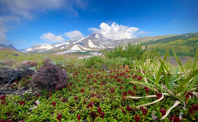 Экспедиция по Камчатке с восхождениями на вулканы, морской прогулкой и рыбалкой
