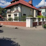 Нина