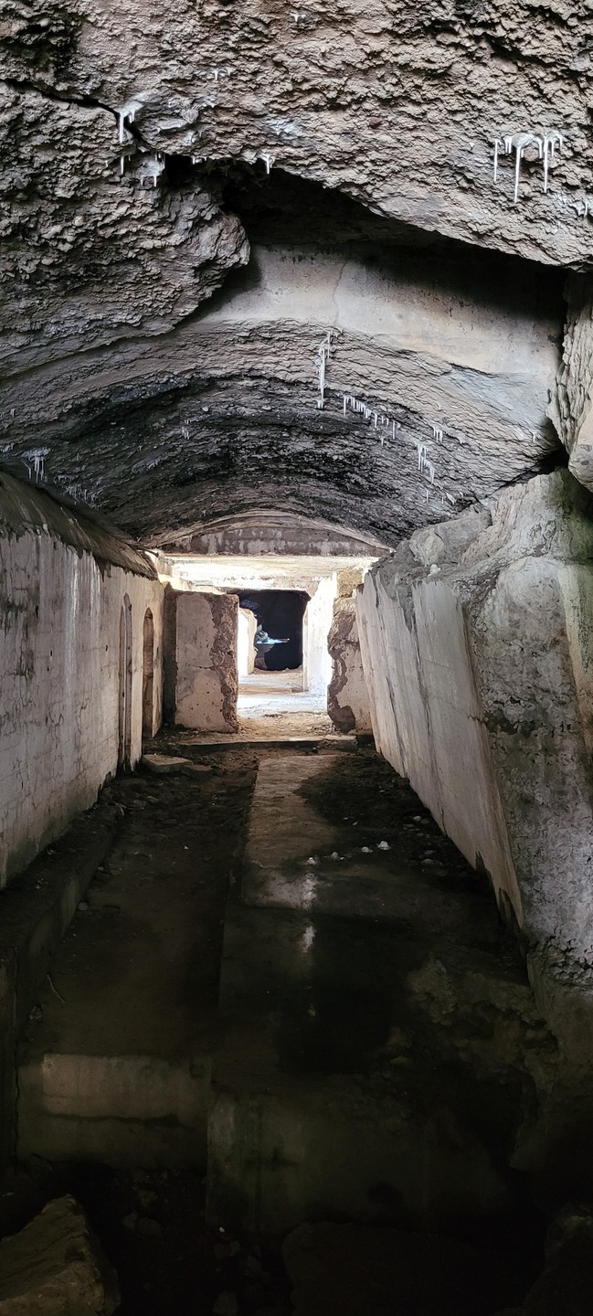 Наш гид-водитель Александра - большая молодец! Поездка-экскурсия прошла увлекательно и в непринужденной обстановке.