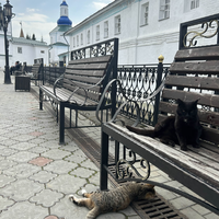 Фото отзыва 3: экскурсия "Чудеса Татарстана: Свияжск, Раифский монастырь и Храм всех религий"