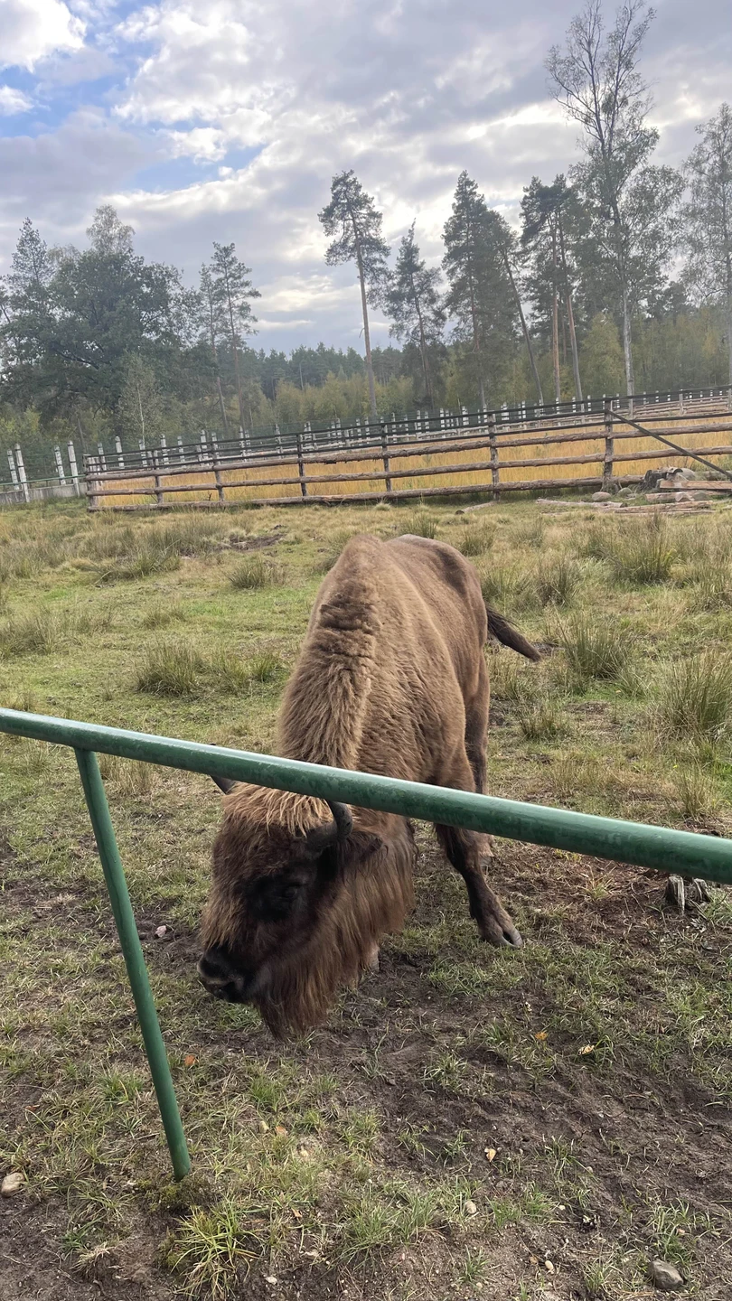 Прекрасная поездка в Брест. Посетили Беловежскую пущу и Брестскую крепость. Александр был очень вежлив и гостеприимен.