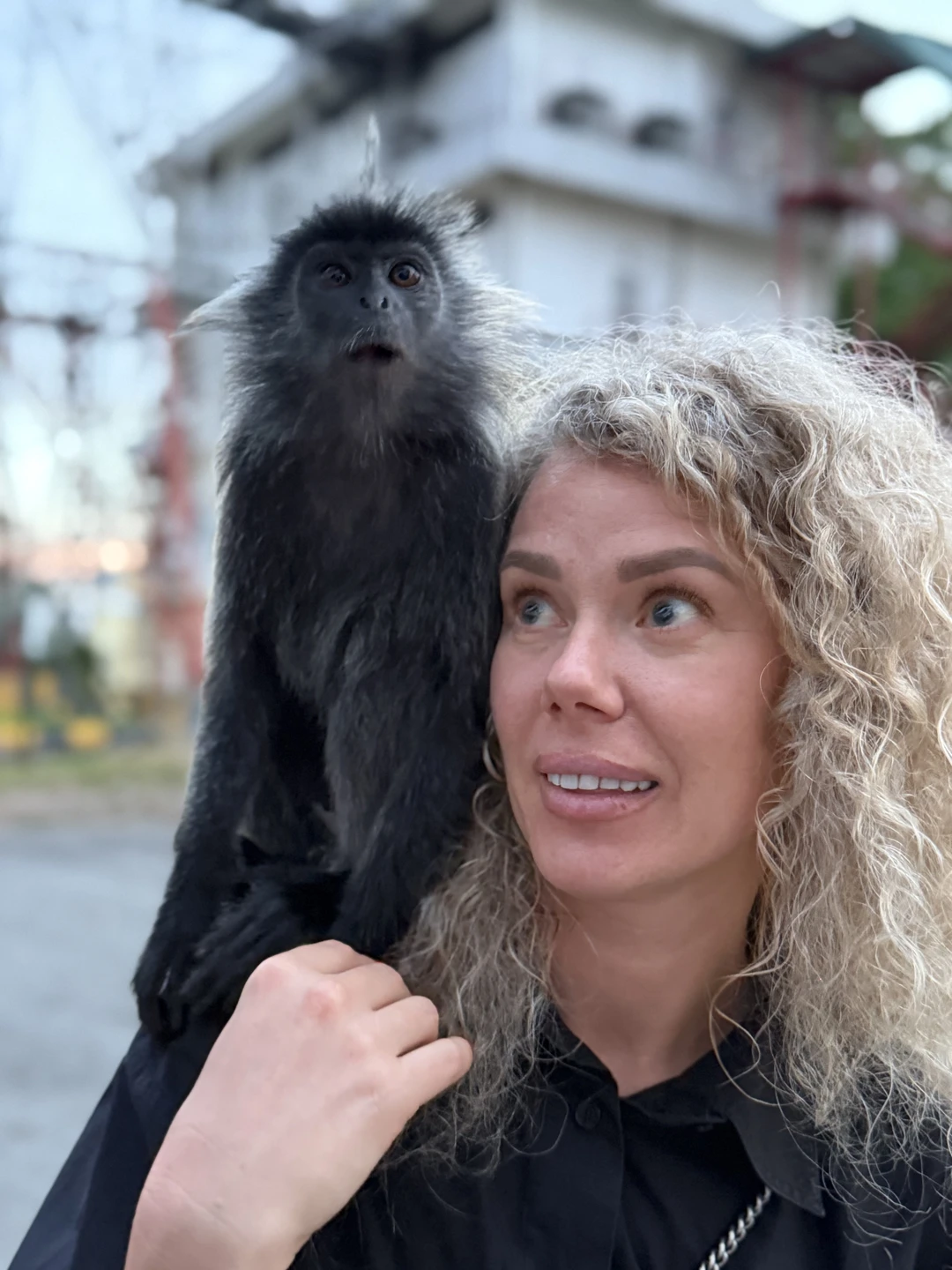 Хорошая Экскурсия, светлячков действительно было очень много. Обезьянки, милые, гид помог с ними контактировать. Ресторан по