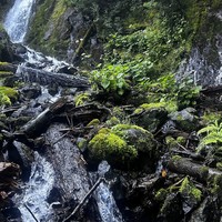 Фото отзыва 3: экскурсия "Абхазия с открытки — из Сочи и Адлера"