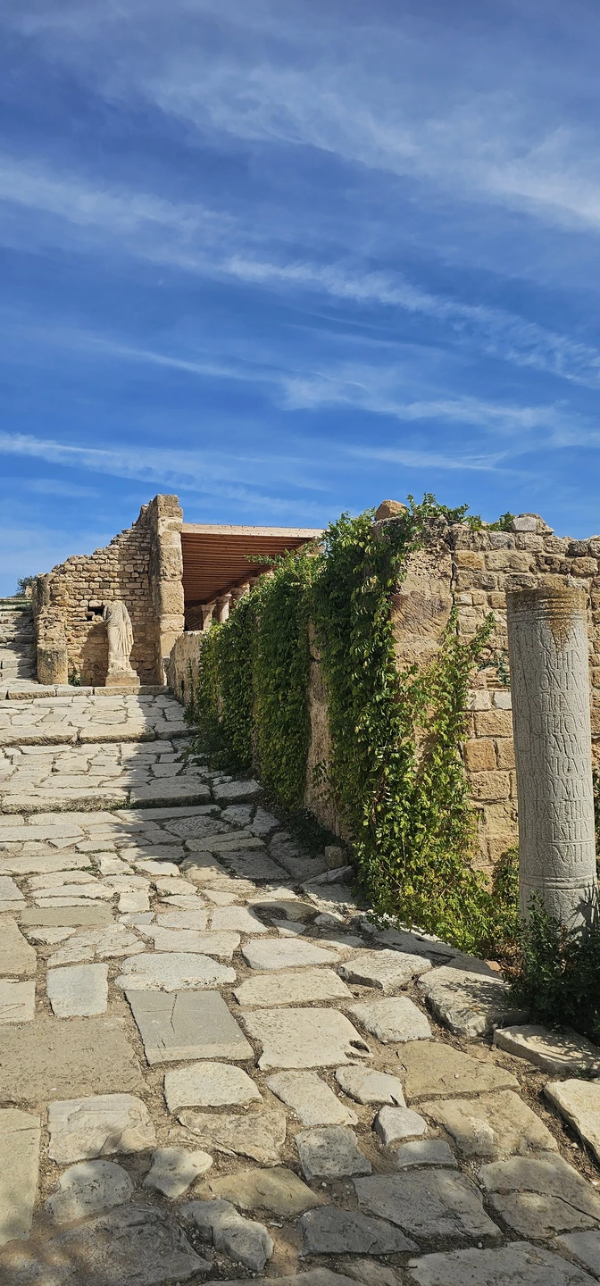 Нам очень понравился гид Юсеф.