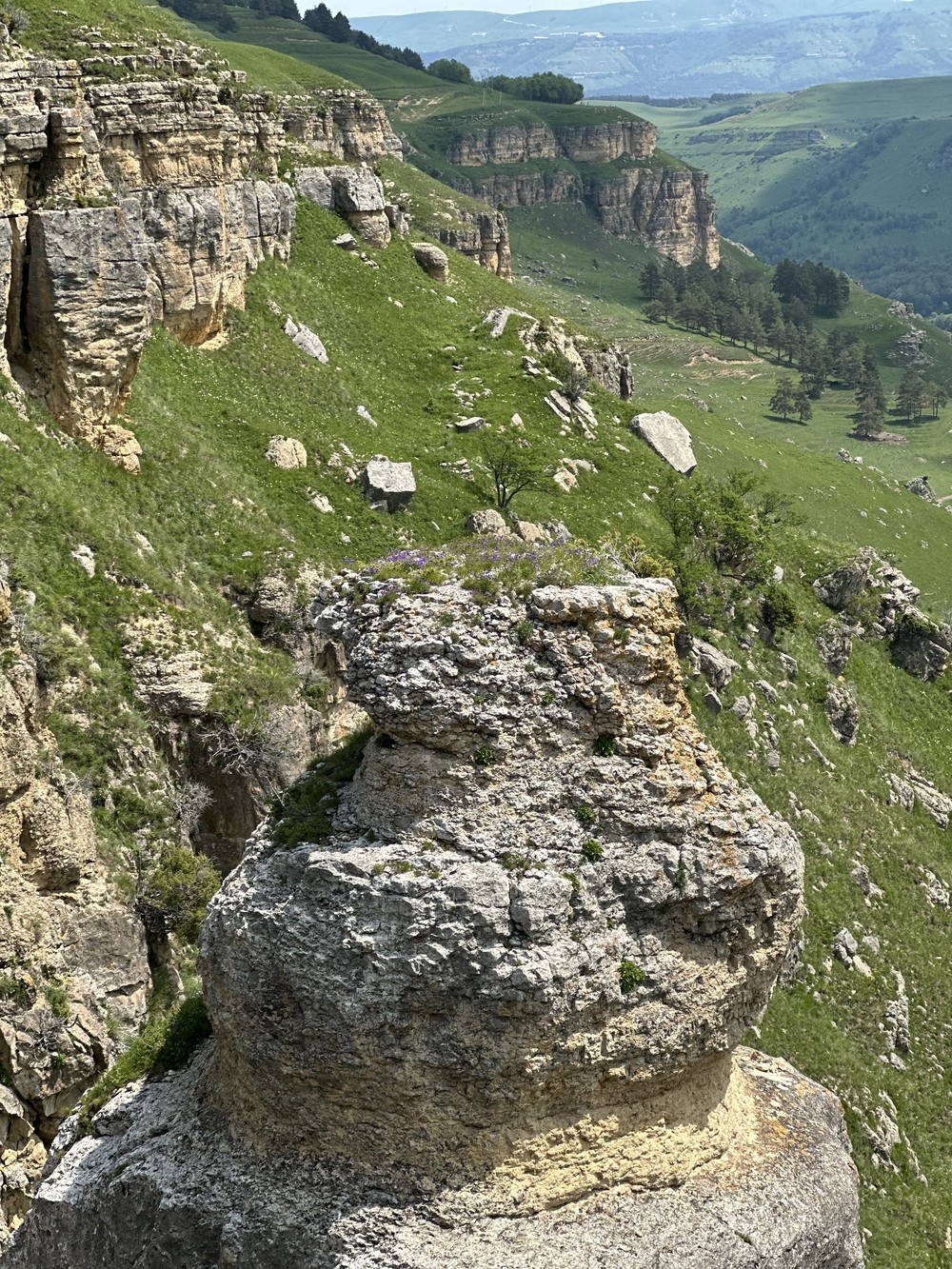 Фото Групповая конная прогулка и мастер-класс по седланию лошади