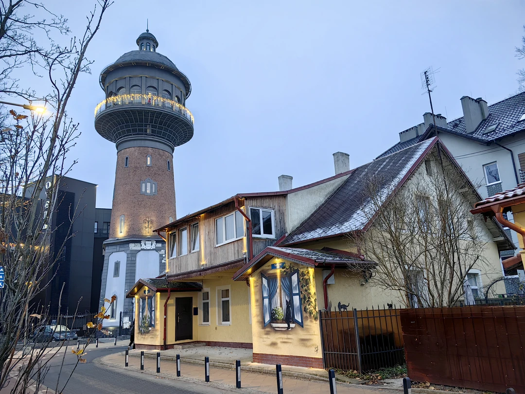 Очень нам повезло с Дмитрием. Рекомендуем всем однозначно