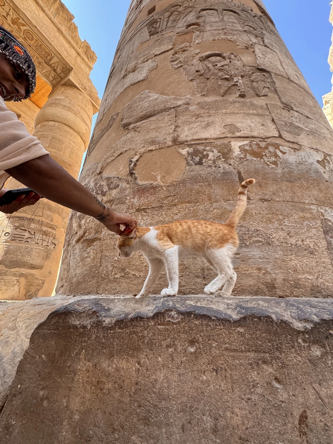 Все понравилось, особенно храм в Дендере! Спасибо гиду Шаркави за погружение в историю
