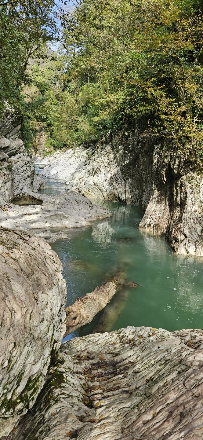 Ваш идеальный день в Сочи (Дарья)