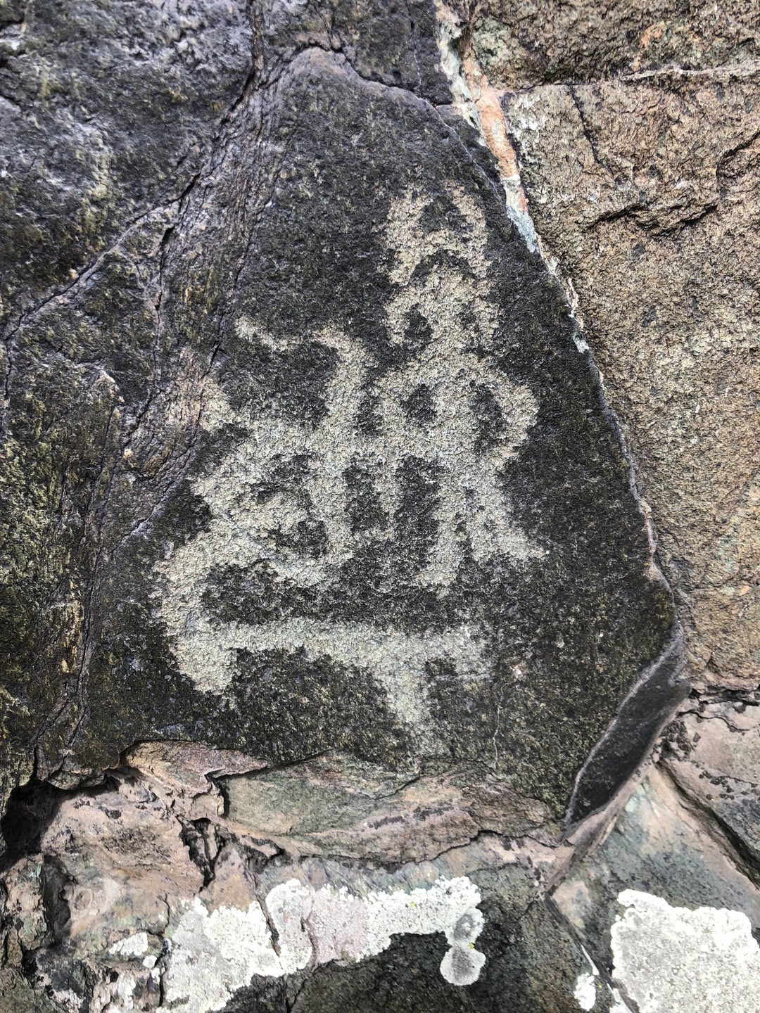 Если вы хотите узнать, что такое петроглиф и еще его увидеть, то вам на эту экскурсию