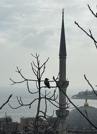 Фото отзыва 1: экскурсия "Богемный Стамбул"