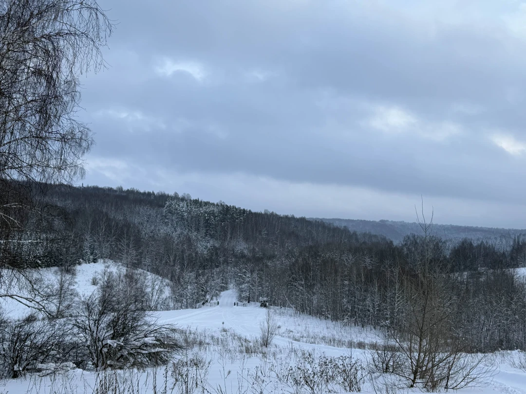 Огромное спасибо Елене за проведенную экскурсию! Интересный рассказчик, опытный водитель! Даже зимой Елена нам интересно показала