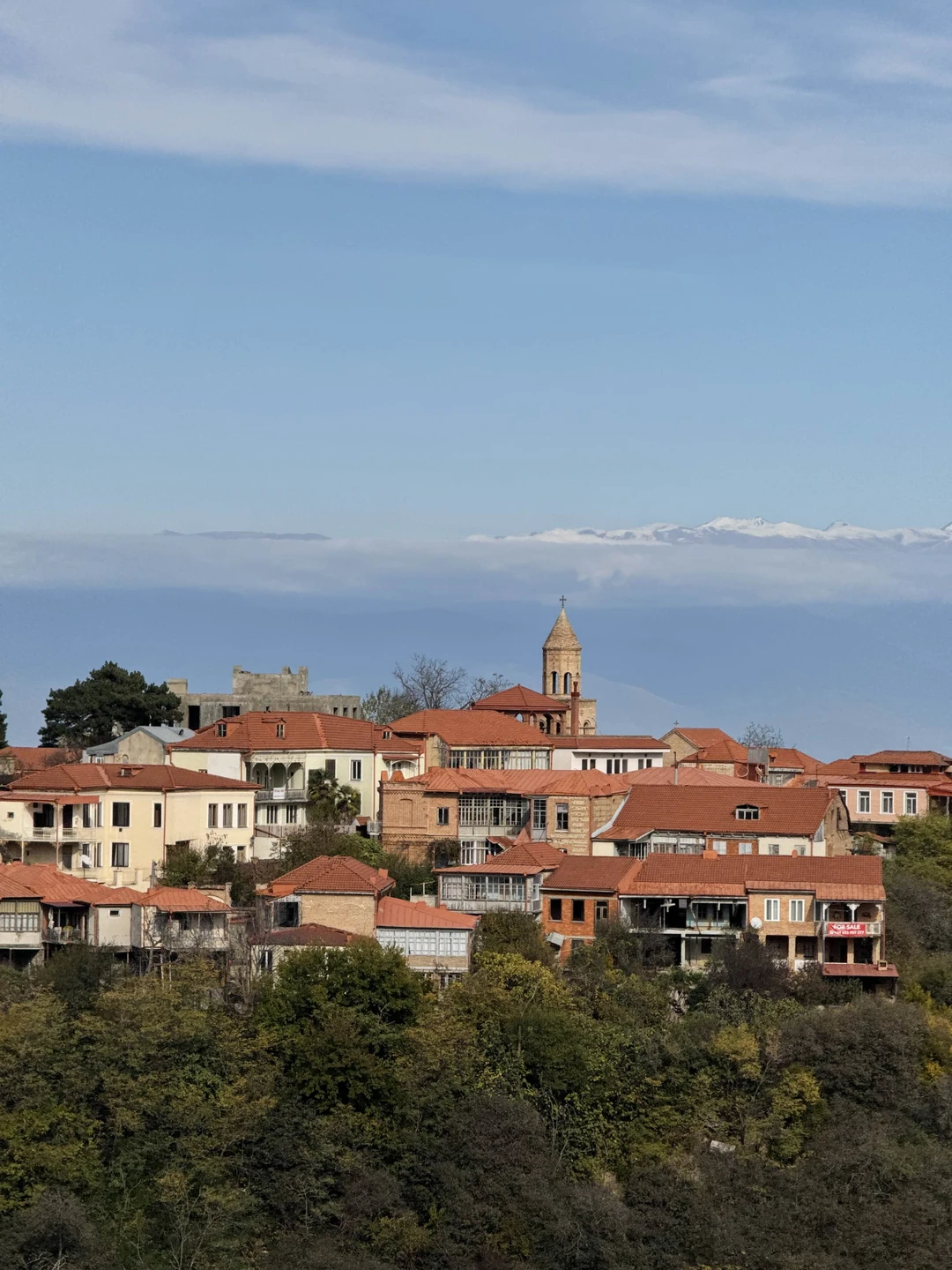 Из Тбилиси - в Кахетию на весь день: вино, храмы и Сигнахи (Алена)