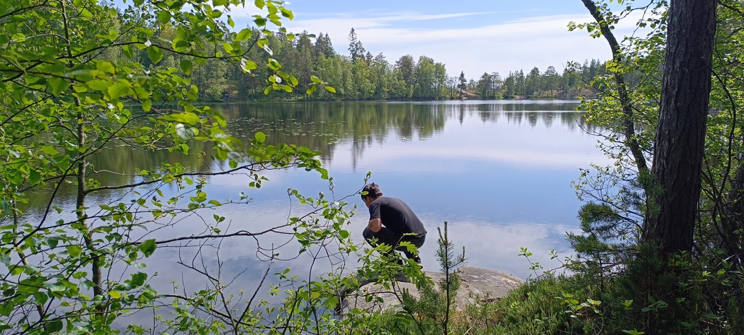 Необычный вид транспорта. Красивые места. Не пожалели, что поехали. Водитель-гид понравился