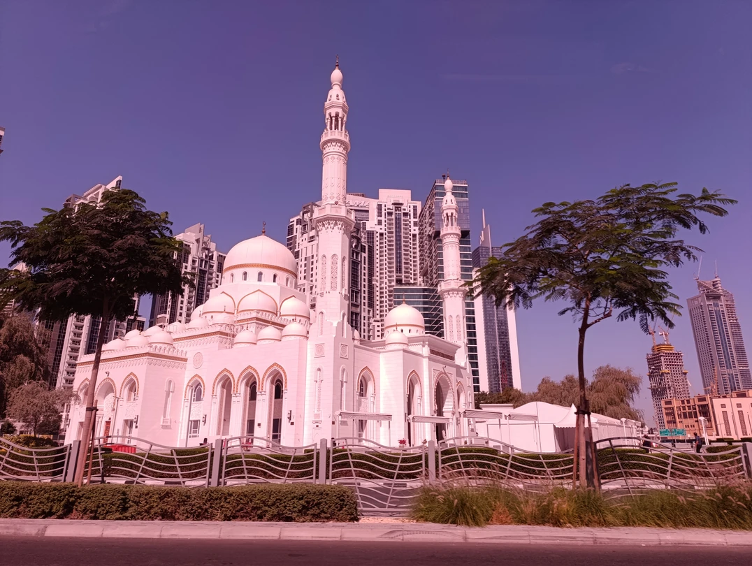 Посетили обзорную экскурсию, всё понравилось. Гид Хасан все объяснял,подсказывал,отвез во все интересующие нас места Дубая. Спасибо большое!