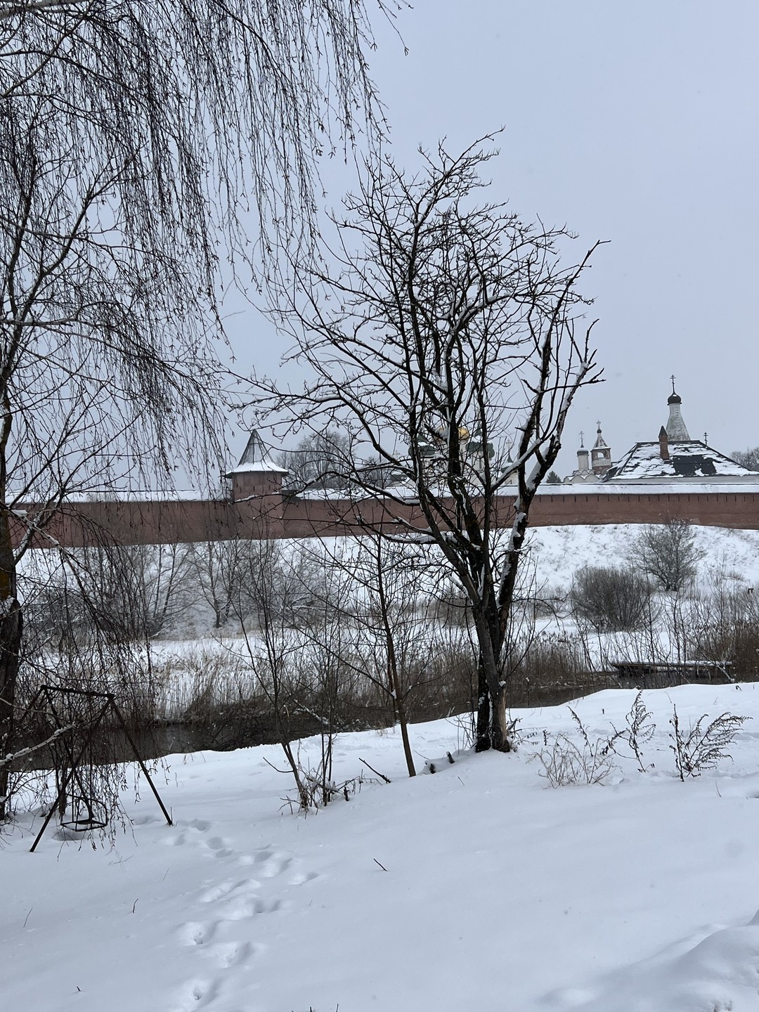 Мы впервые были на экскурсии такого формата. В Суздале бывали неоднократно и поэтому захотелось чего то