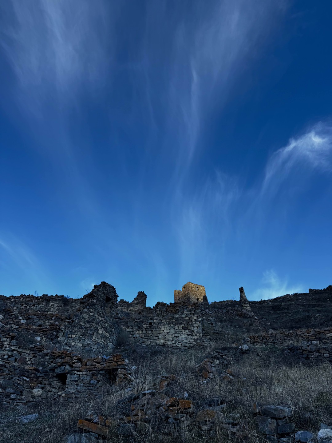 Дигория-это восторг❤️