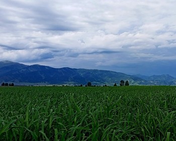 Переезд в Тюнгур