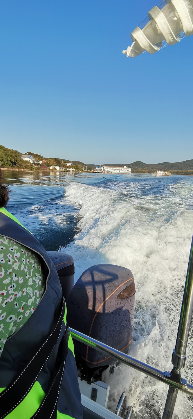 Морское приключение во Владивостоке: мыс Тобизина, котики и морепродукты (Нина)