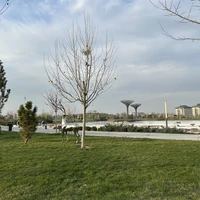 Фото отзыва 4: экскурсия ""