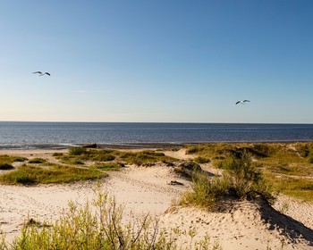 Северодвинск, Водорослевый комбинат с дегустацией