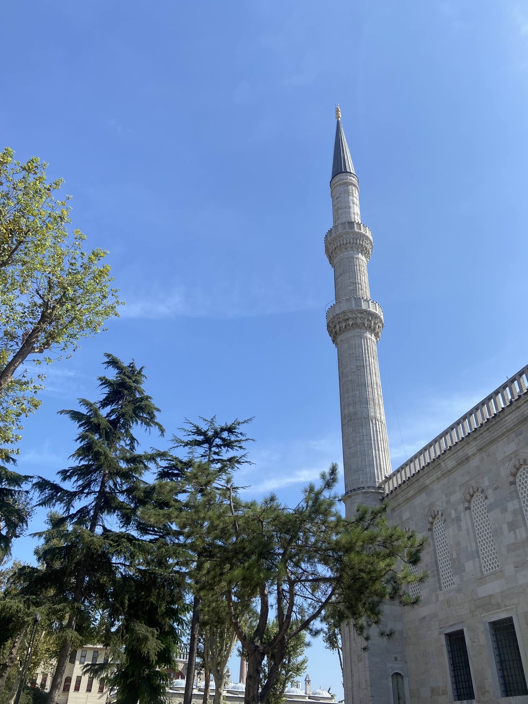 Исторический центр Стамбула (без очередей) (Оксана)