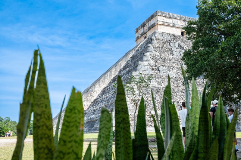 Чичен-Ица, Коба, сенот и фабрика текилы